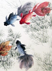 IMG_2025_Po_Goldfish_detail