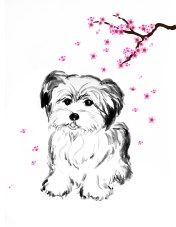 Pia-Dog-cherryblossom_1a